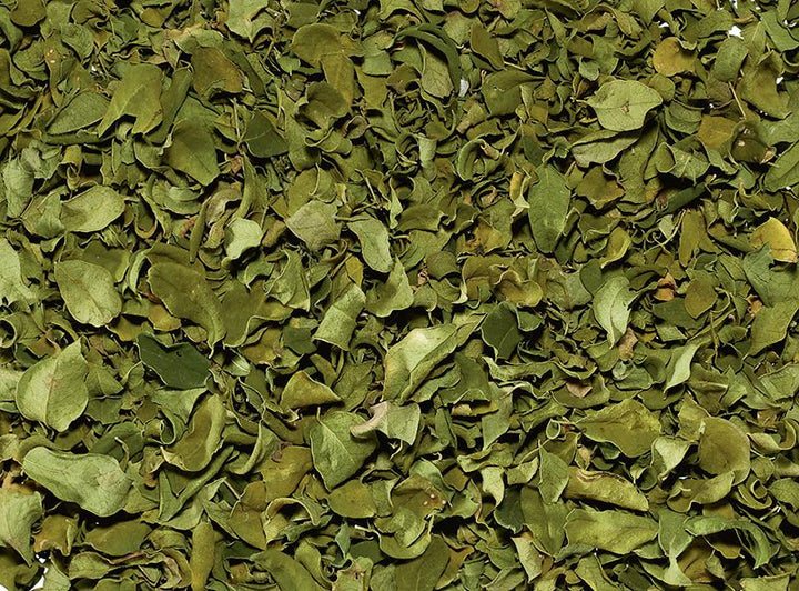 Lose  Kräuter Moringa  BIO